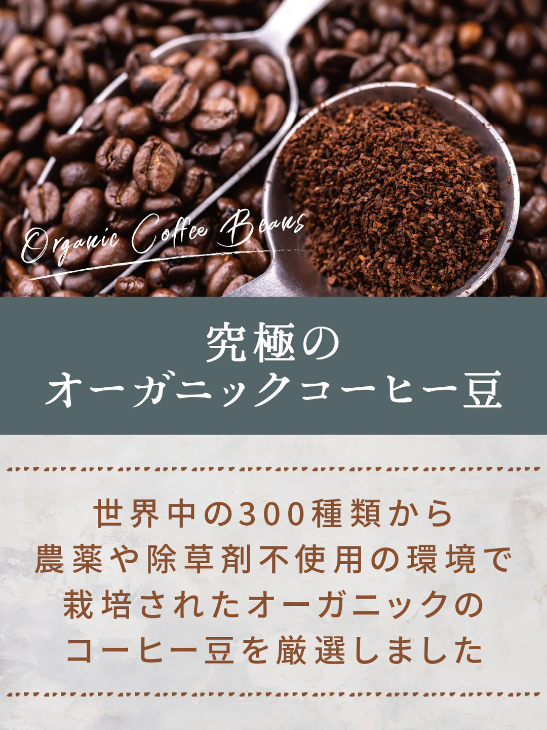 【健康&美容維持専用】極上カビなしコーヒー豆  オーガニック 送料無料 無添加 無農薬 無除草剤カビ毒なし