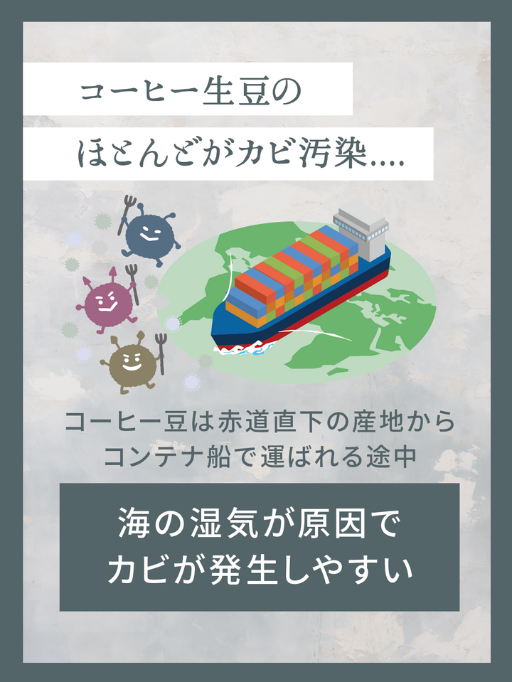 【健康&美容維持専用】極上カビなしコーヒー豆  オーガニック 送料無料 無添加 無農薬 無除草剤カビ毒なし