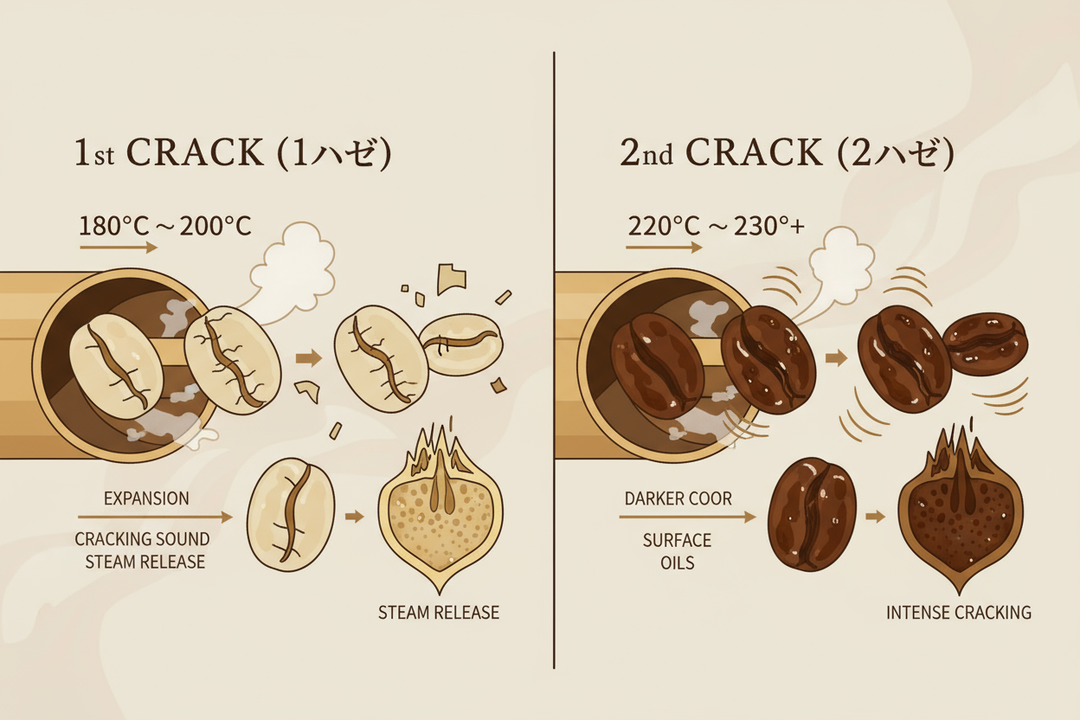 【コーヒーの味はここで決まる】焙煎士が命をかける「ハゼ」のタイミングとは？